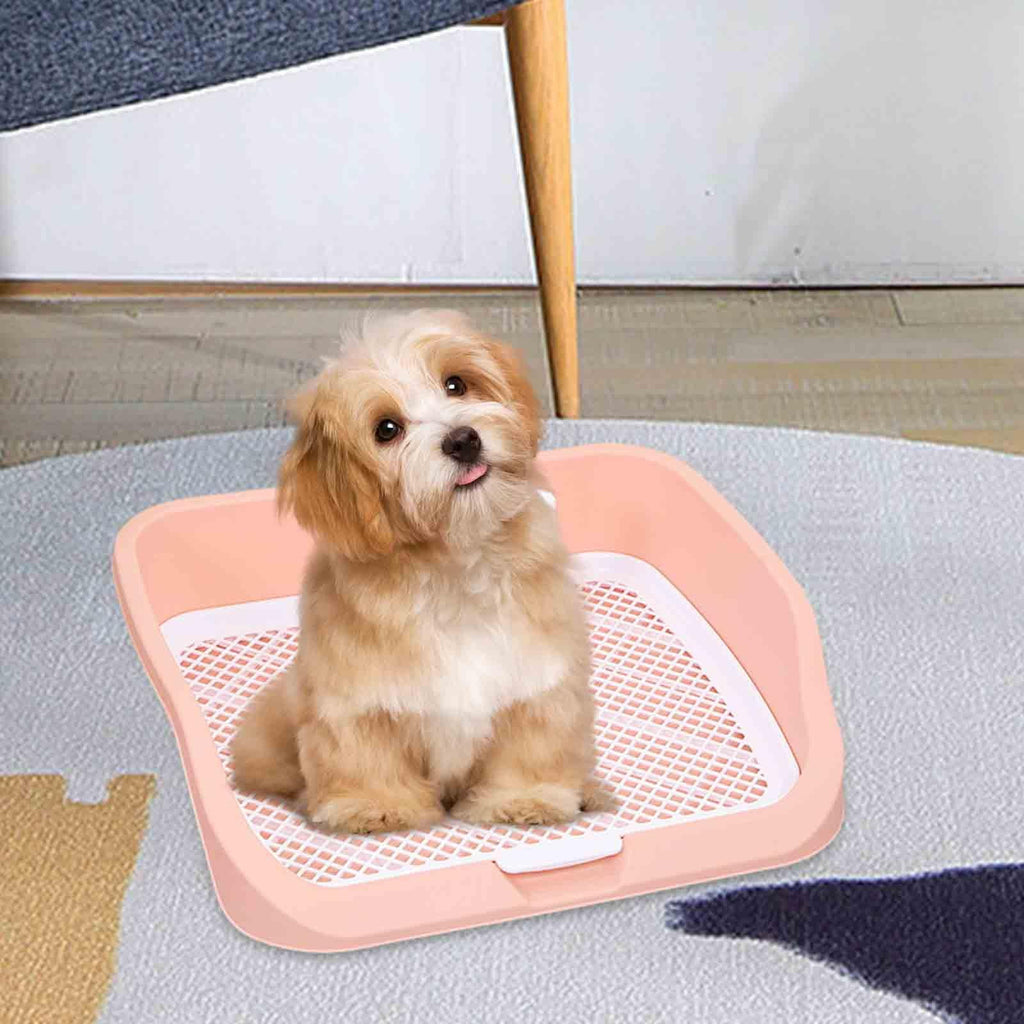 Pet Toilet Training Holder with Dog Potty Pad Z573