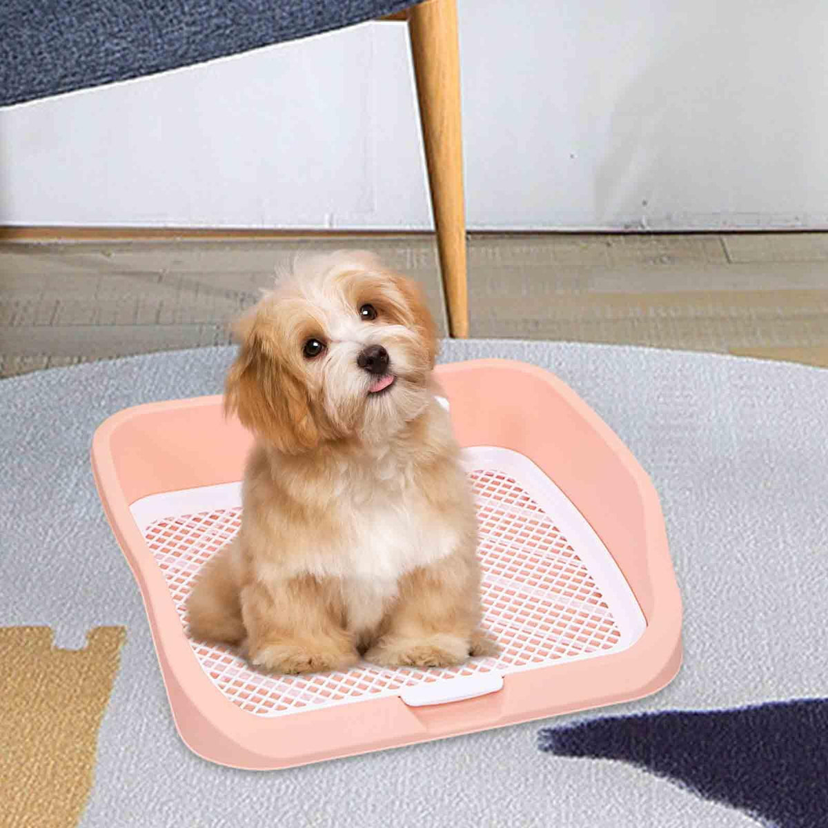 Pet Toilet Training Holder with Dog Potty Pad Z573