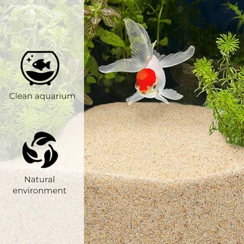 Coarse Silica Sand - 10LB - Horticultural Sand L1845