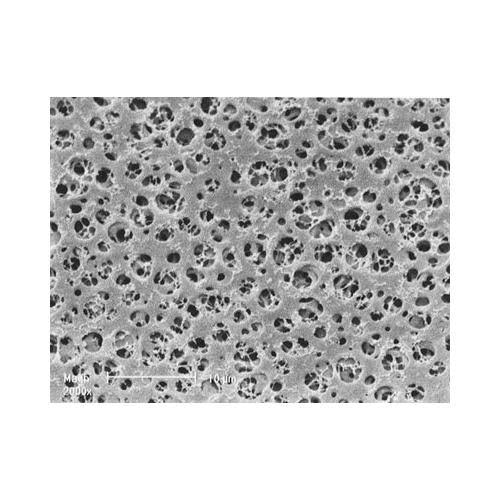 13 mm Cellulose Acetate Membrane Filter, 0.8 um, 100 Pcs S79053