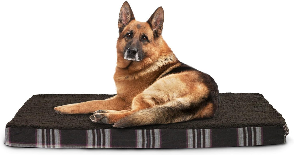 Jumbo Orthopedic Foam Pet Bed with Removable Cover M400