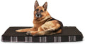 Jumbo Orthopedic Foam Pet Bed with Removable Cover M400