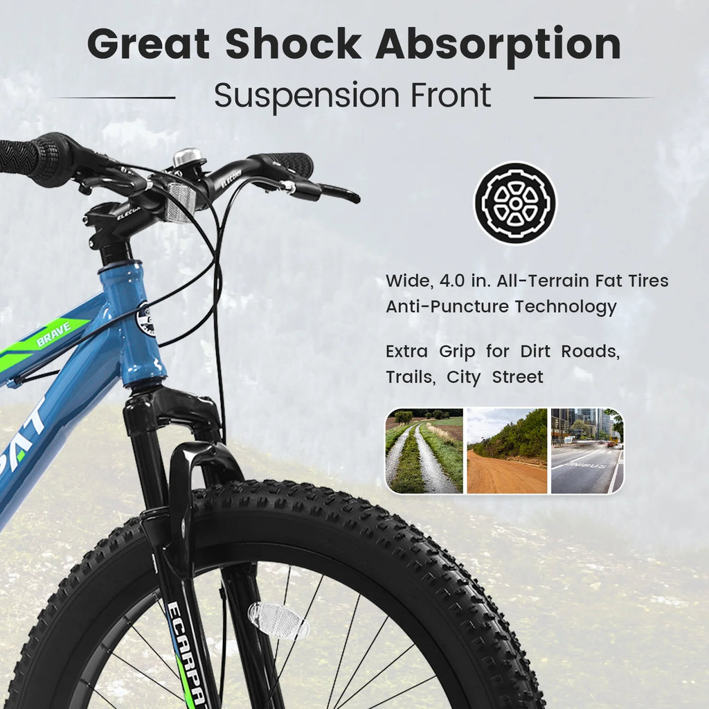 24 inch Mountain Bike with Fat Tires T201