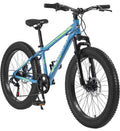 24 inch Mountain Bike with Fat Tires T201