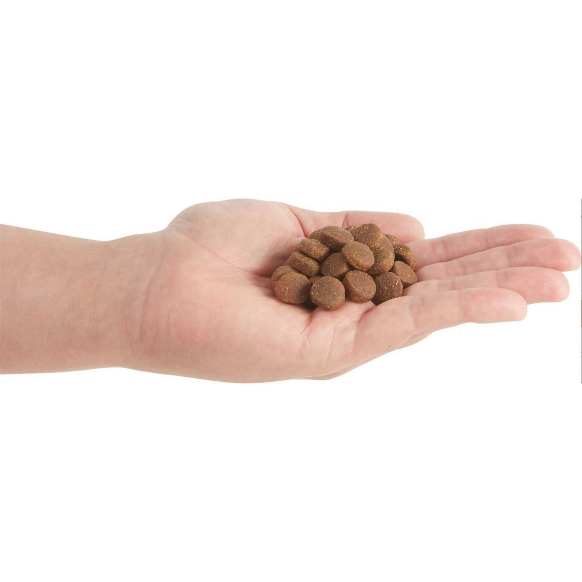 Red Meat Dry Dog Food D4351