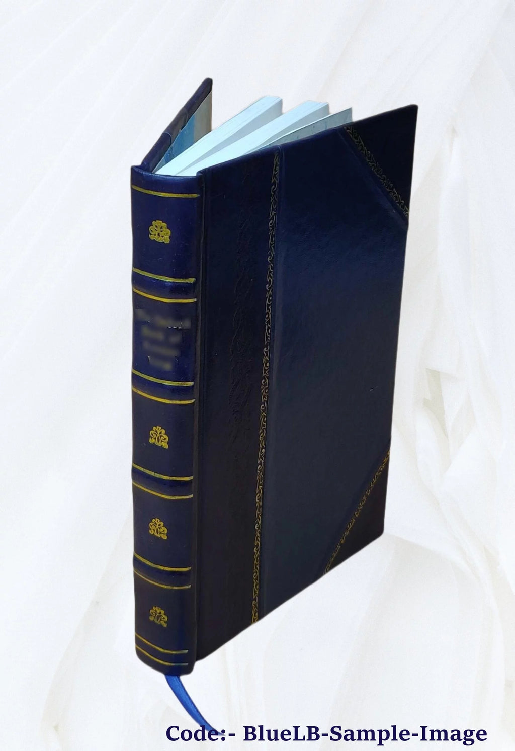 Leather Bound Book O644