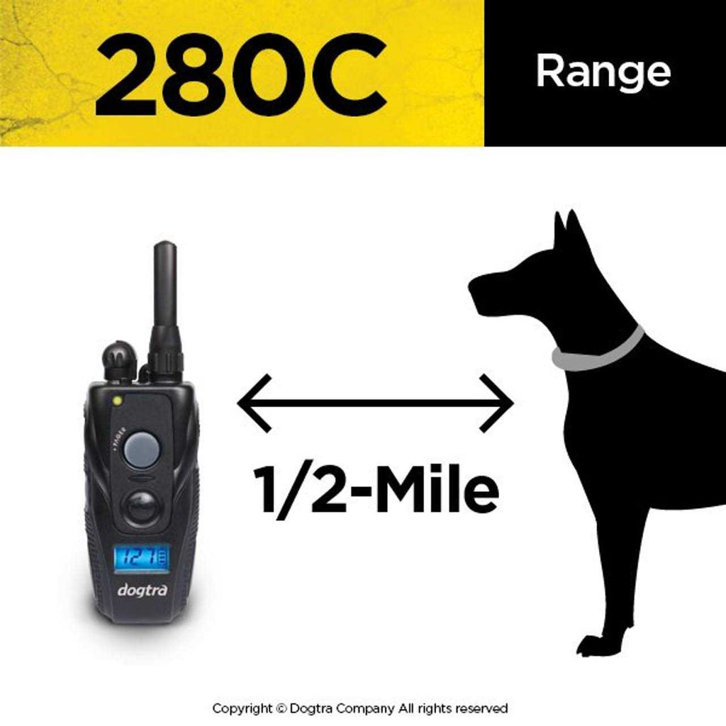 Dog Remote Training Collar C149022
