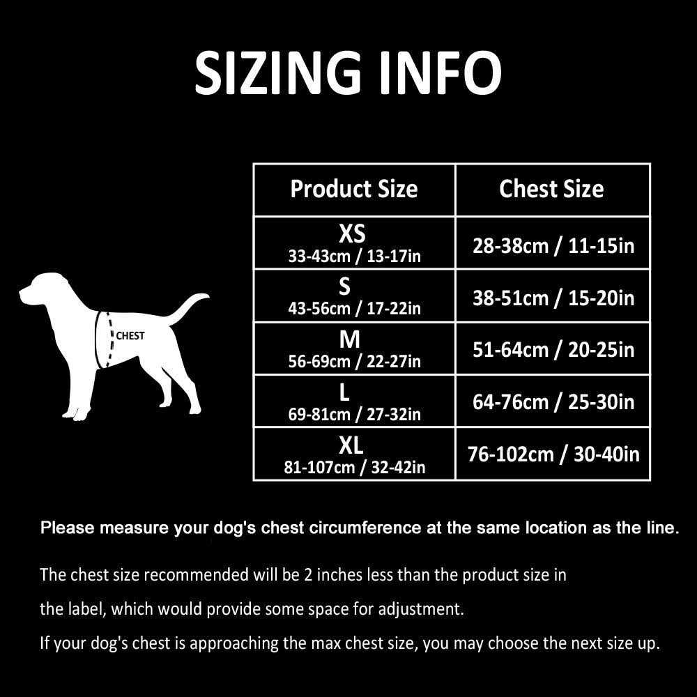 Reflective Dog Harness and Leash M62269