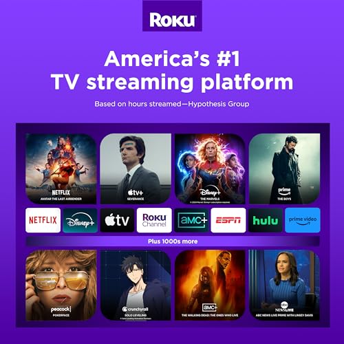 HD Roku Streaming Device with Standard Remote B40989
