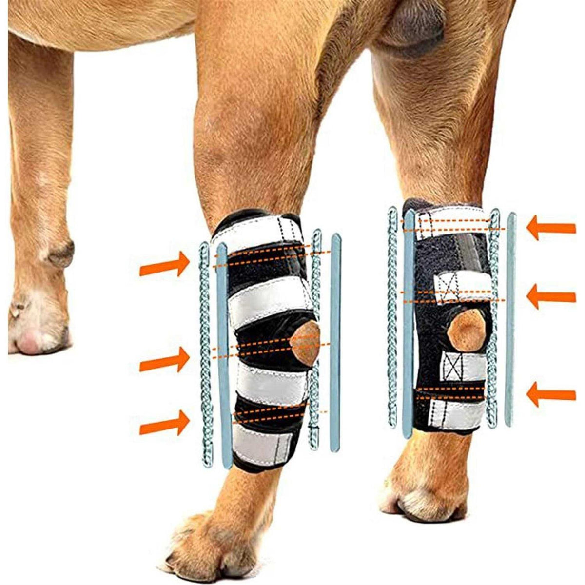 3-in-1 Long Rear Leg Support Dog Splint Braces X835