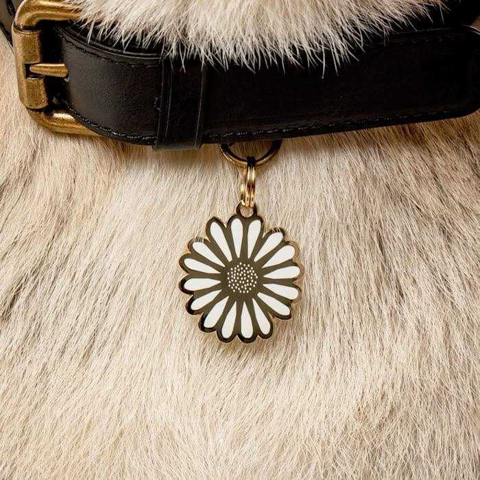 Daisy ID Tag A38794