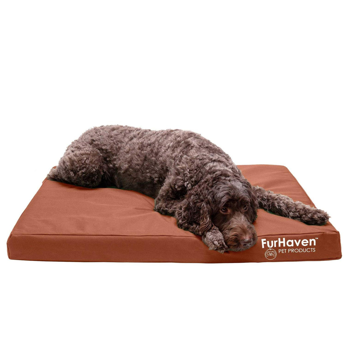 Dog Bed A37344