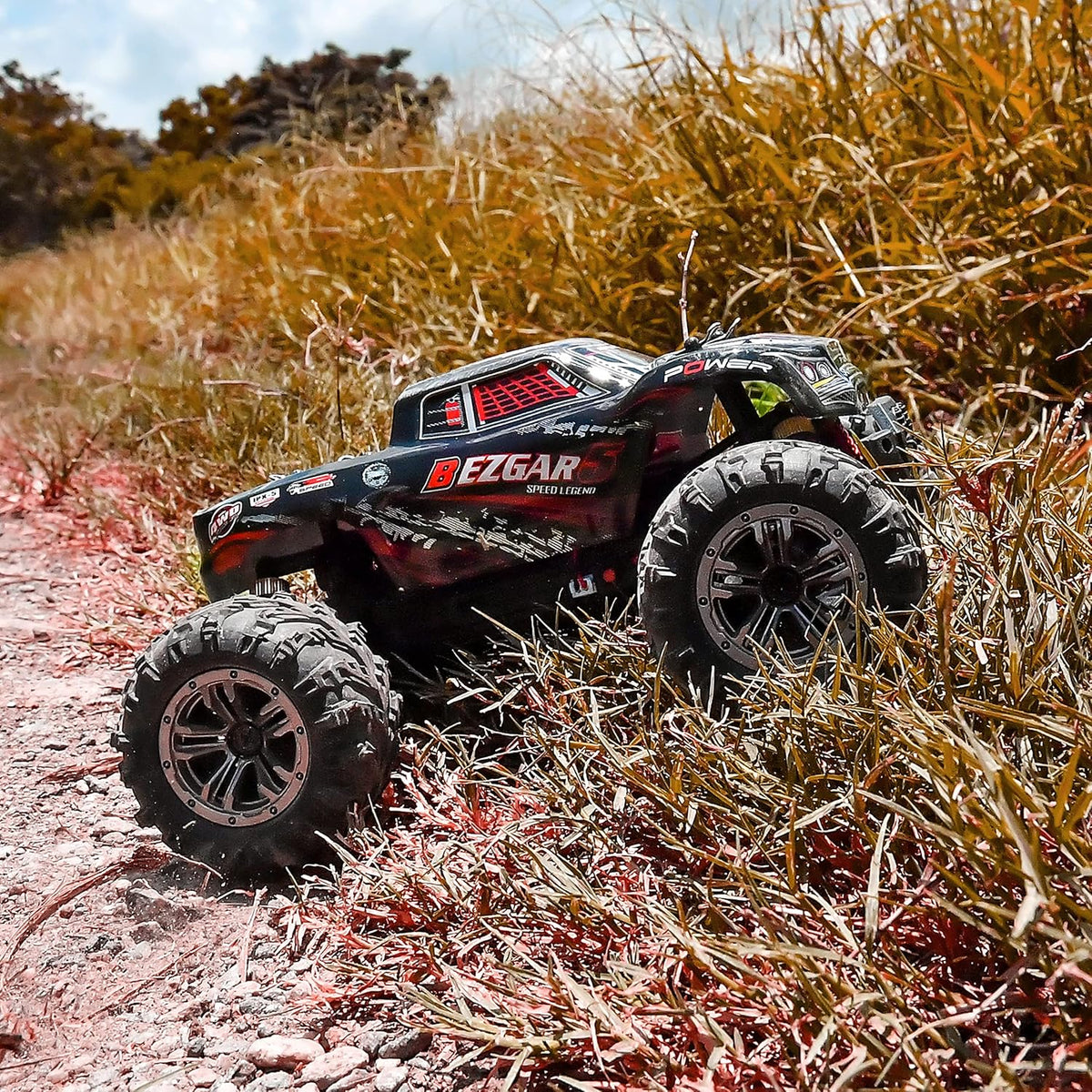 Remote Control Off Road RC Monster Truck C787