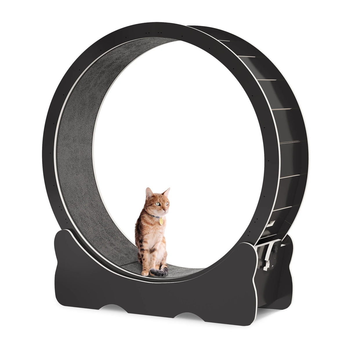 43.3 inch Cat Exercise Wheel with Detachable Carpet G22568
