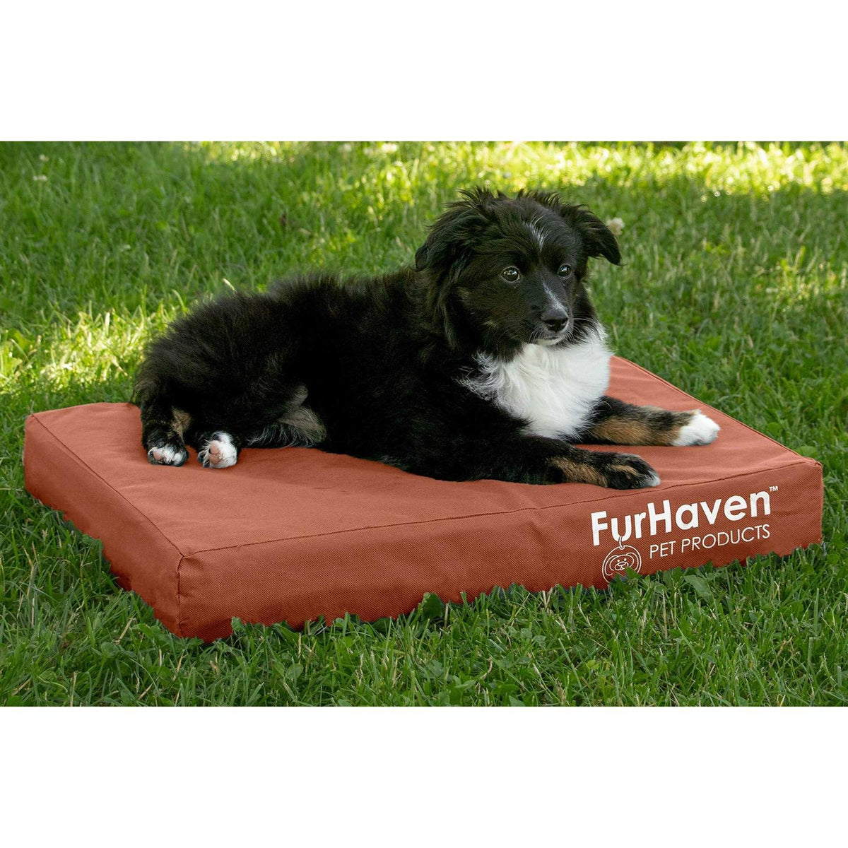 Dog Bed A37344