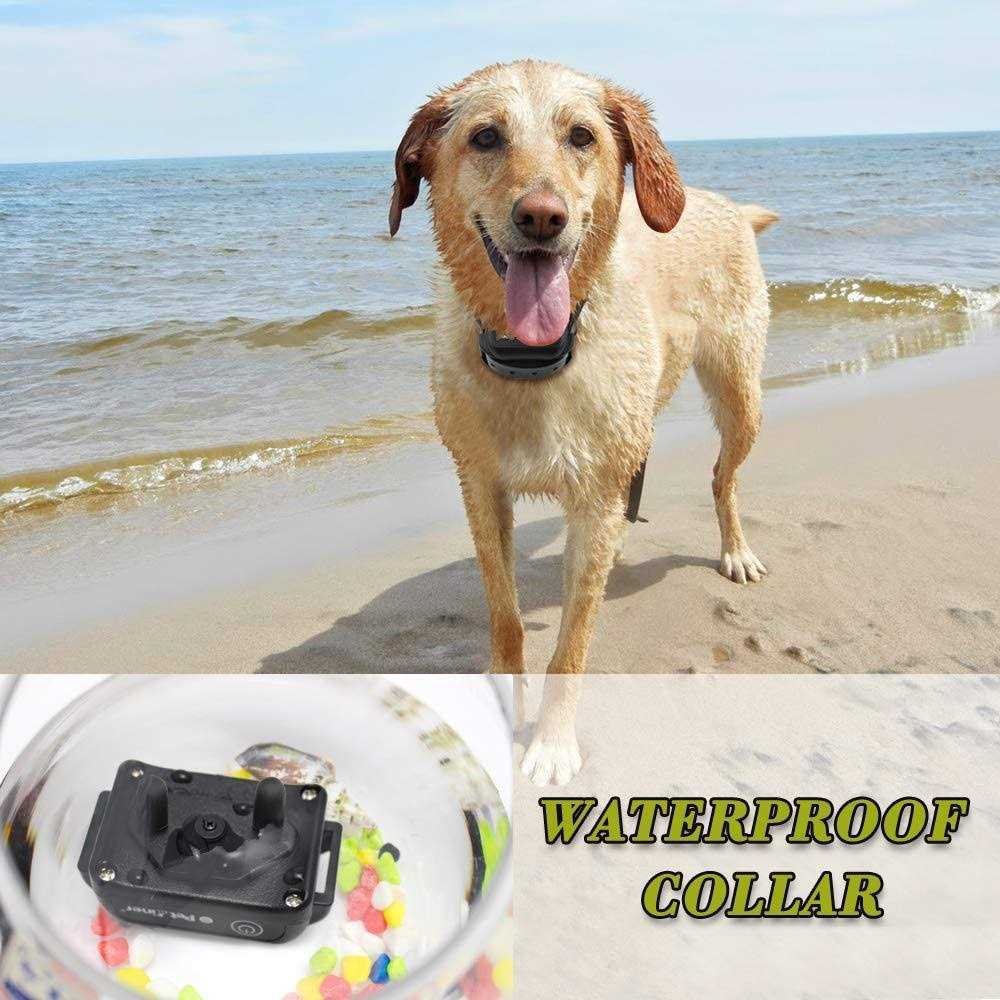 Rechargeable Waterproof Remote Dog Training Collar Z67180