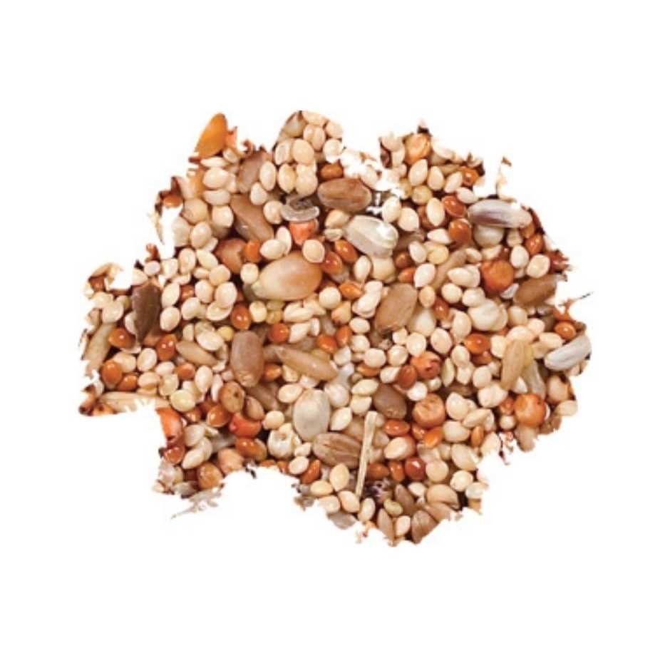 Dove Quail Food J55753