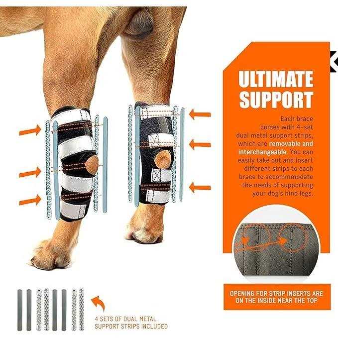3-in-1 Long Rear Leg Support Dog Splint Braces X835