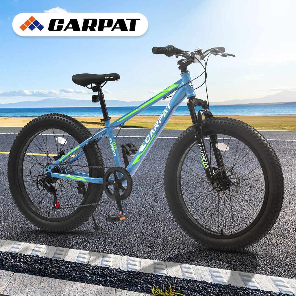 24 inch Mountain Bike with Fat Tires T201