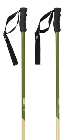 Green Ski Pole S43132