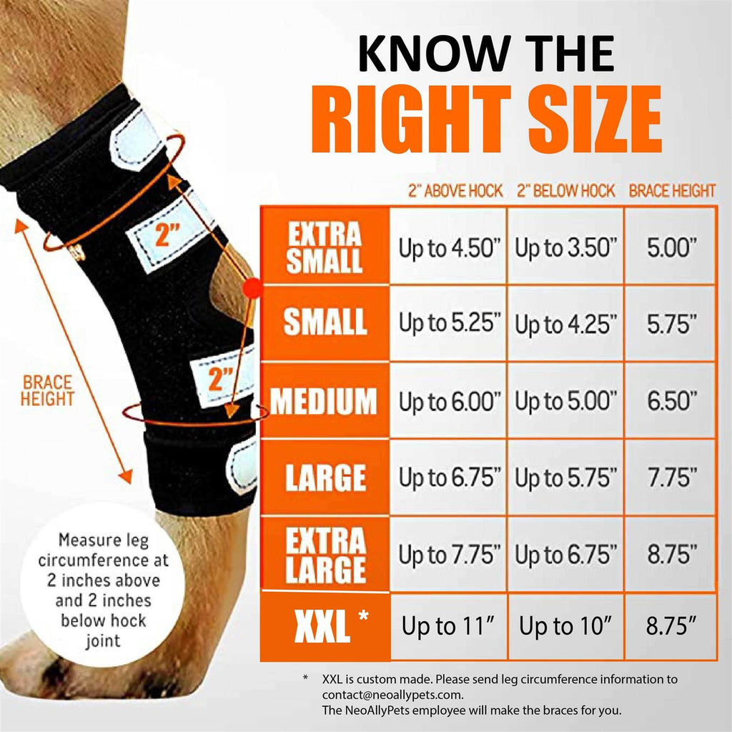 3-in-1 Long Rear Leg Support Dog Splint Braces X835