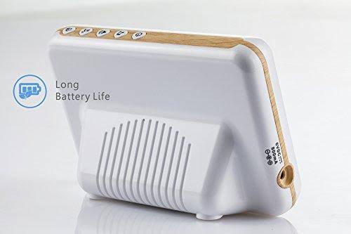 Video Baby Monitor with Pan Tilt Zoom Camera M861