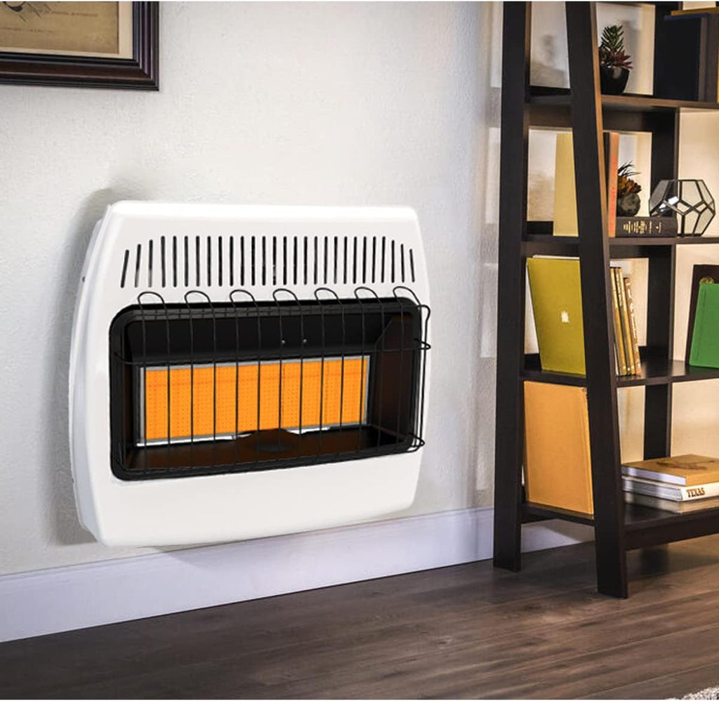 30,000 BTU Dual Fuel Natural Gas Propane Wall Heater P7390