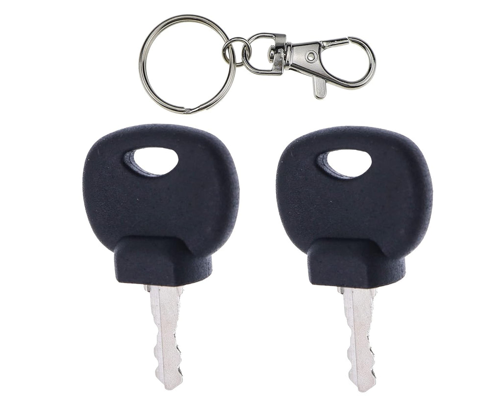Ignition Keys Pack of 2 E646635