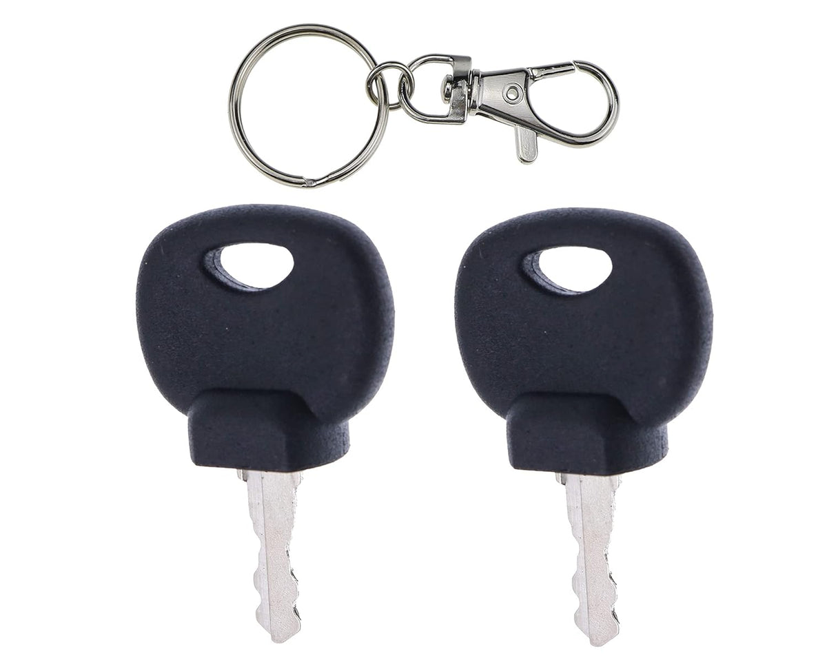 Ignition Keys Pack of 2 E646635
