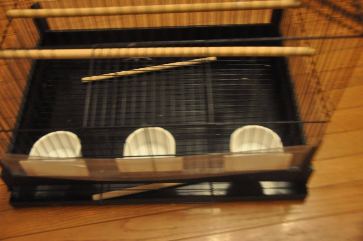 Black Bird Cage Y656075