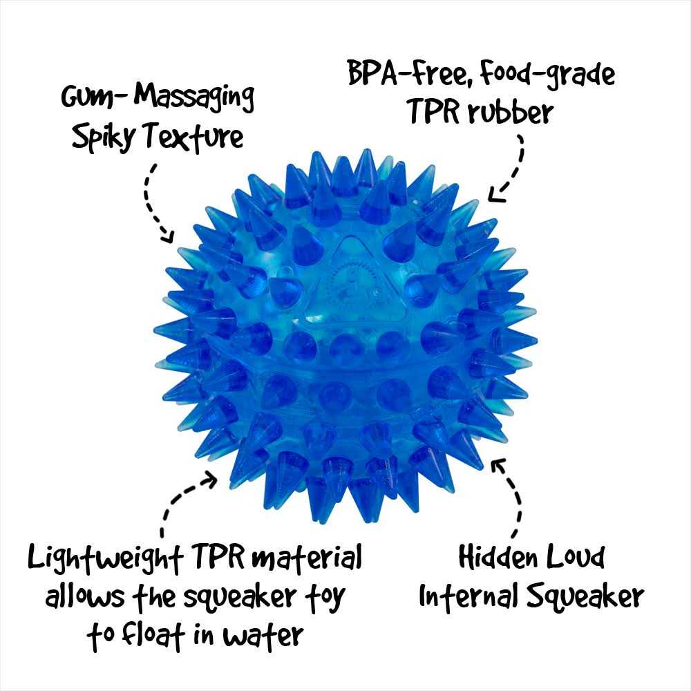 Squeaker Ball Dog Toy N13762