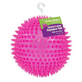 Squeaker Ball Dog Toy N13762