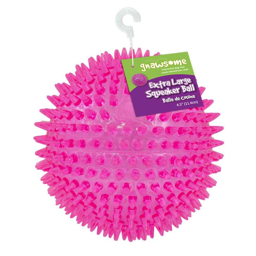Squeaker Ball Dog Toy N13762