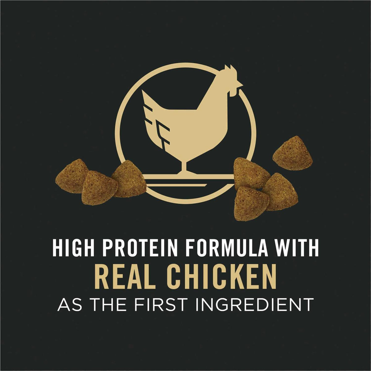 Chicken & Rice Formula Dry Dog Food I8216