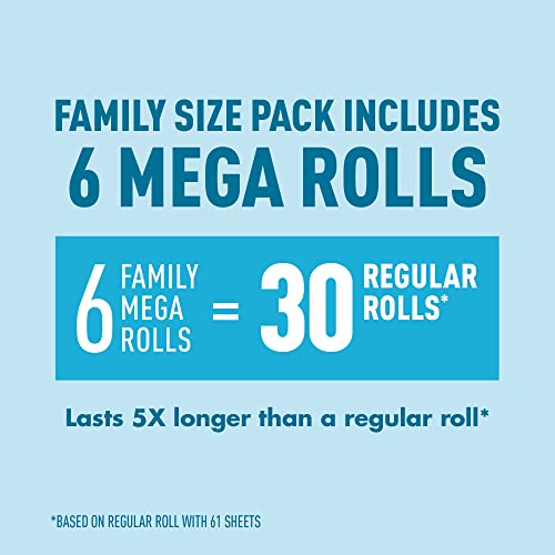2-Ply Ultra-Soft Toilet Paper, 24 Family Mega Rolls, Unscented B861619