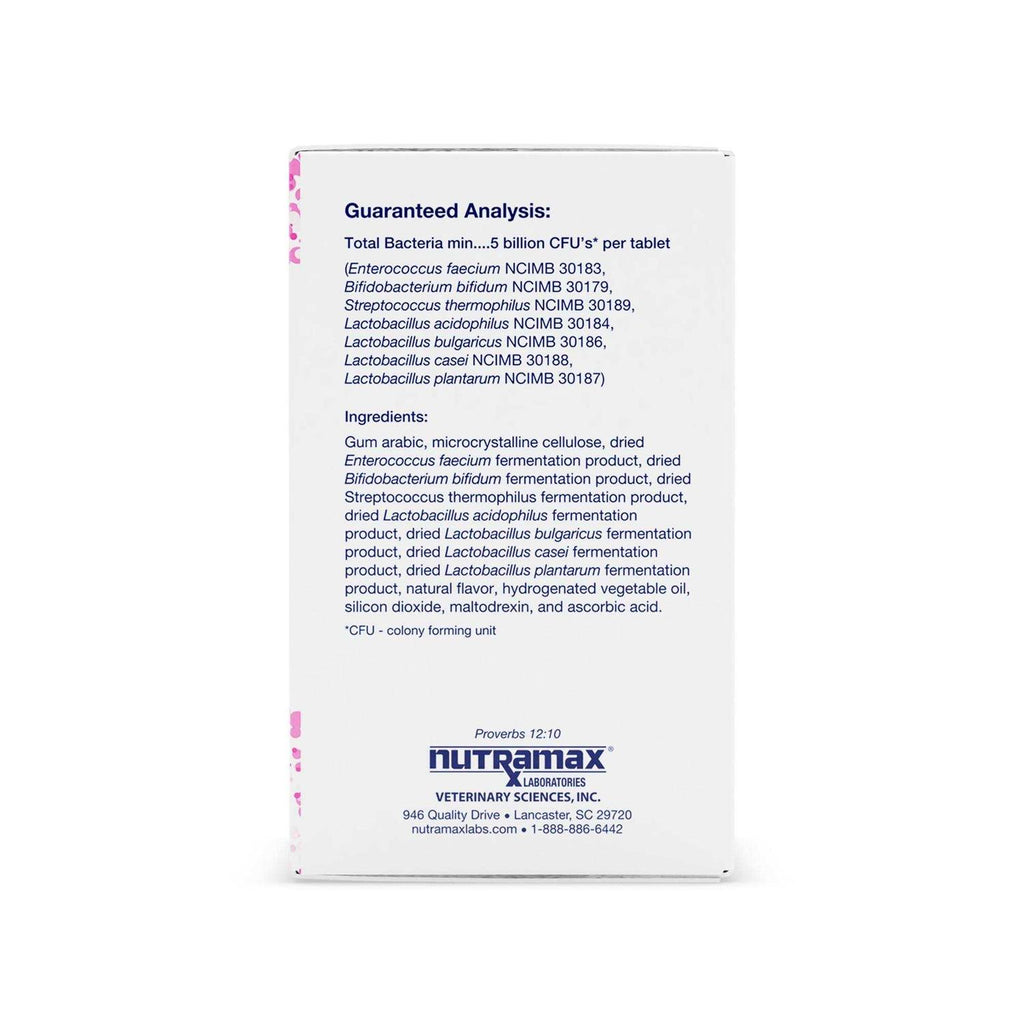 Multi-Strain Probiotics and Prebiotics for Dogs T65629
