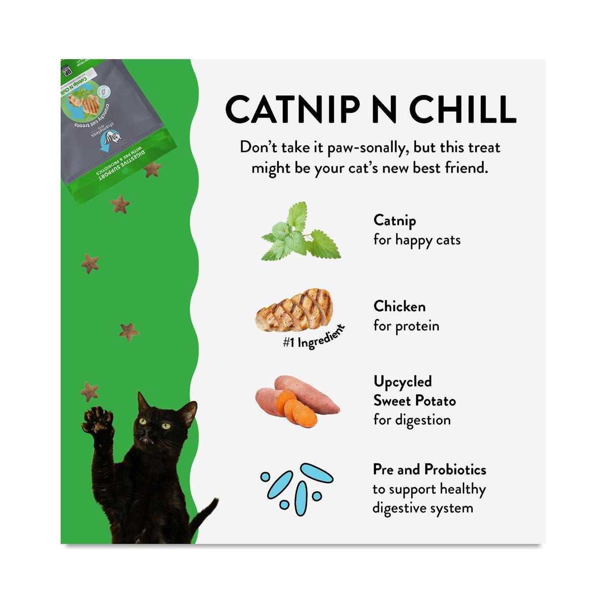 Crunchy Cat Treats K778980