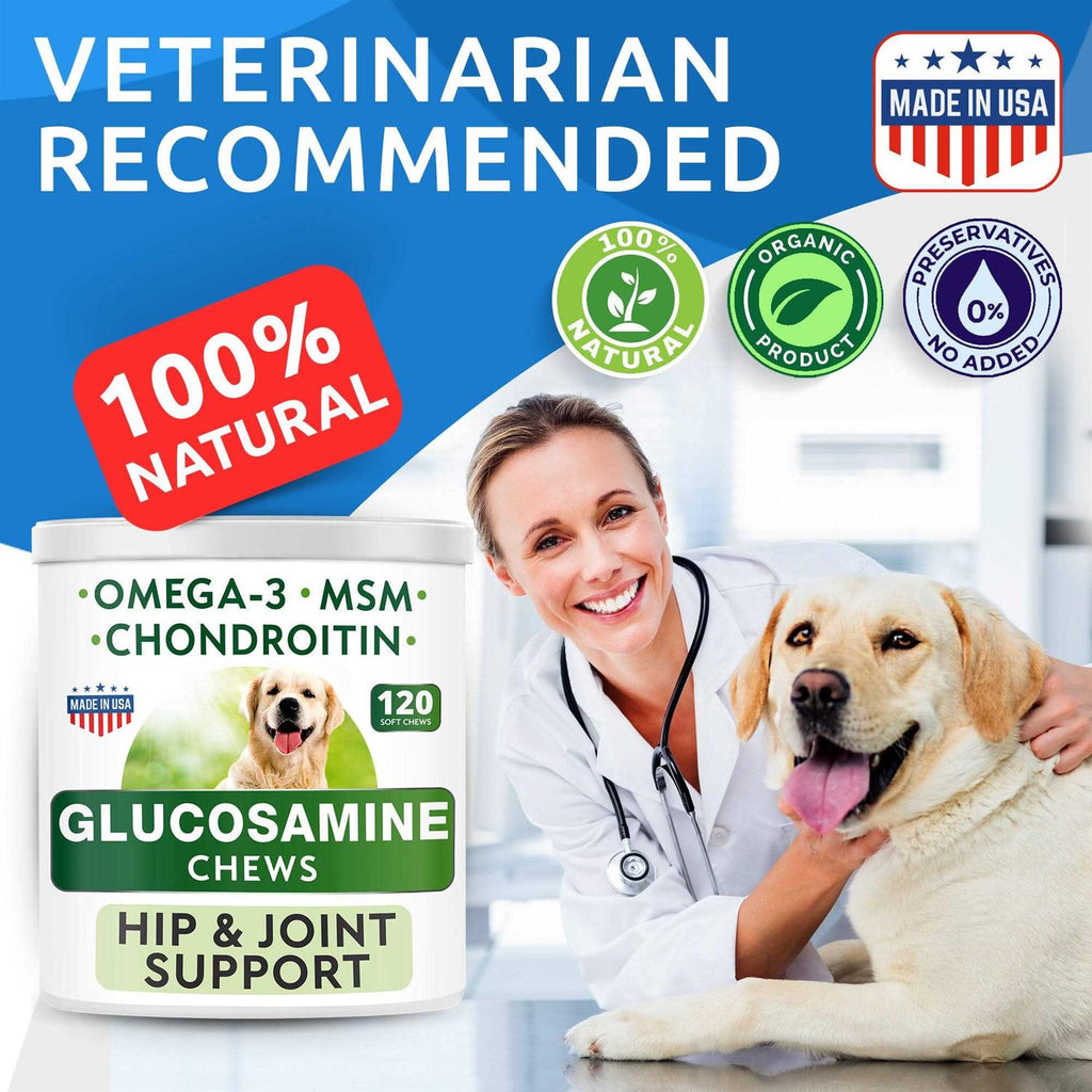 Glucosamine Chews for Dog O674650