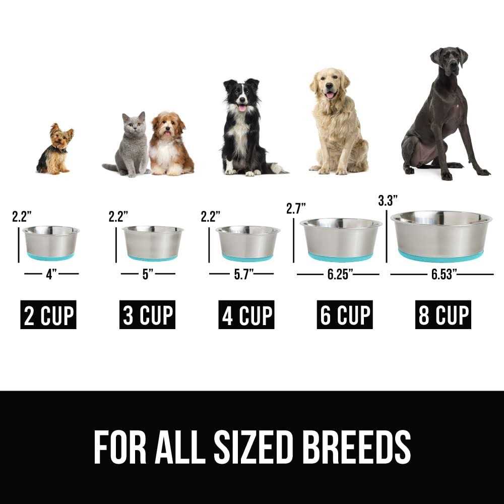 Stainless Steel Metal Dog Bowl Set of 2 with Rubber Base G3262