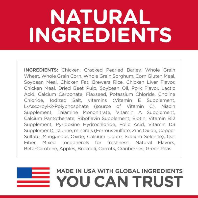 Adult Large Breed Dry Dog Food P77797