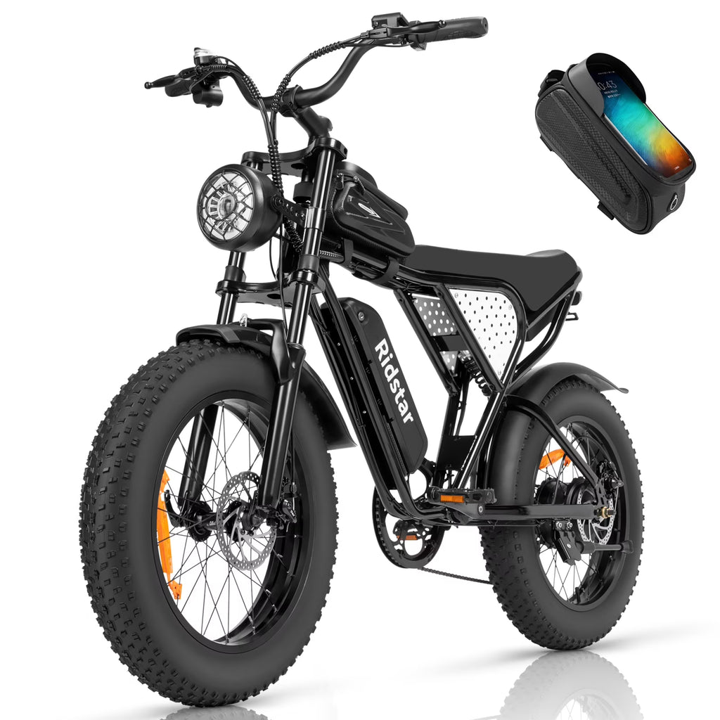 750W 20" Fat Tire Electric Bike with Removable 48V/20Ah Battery F703738