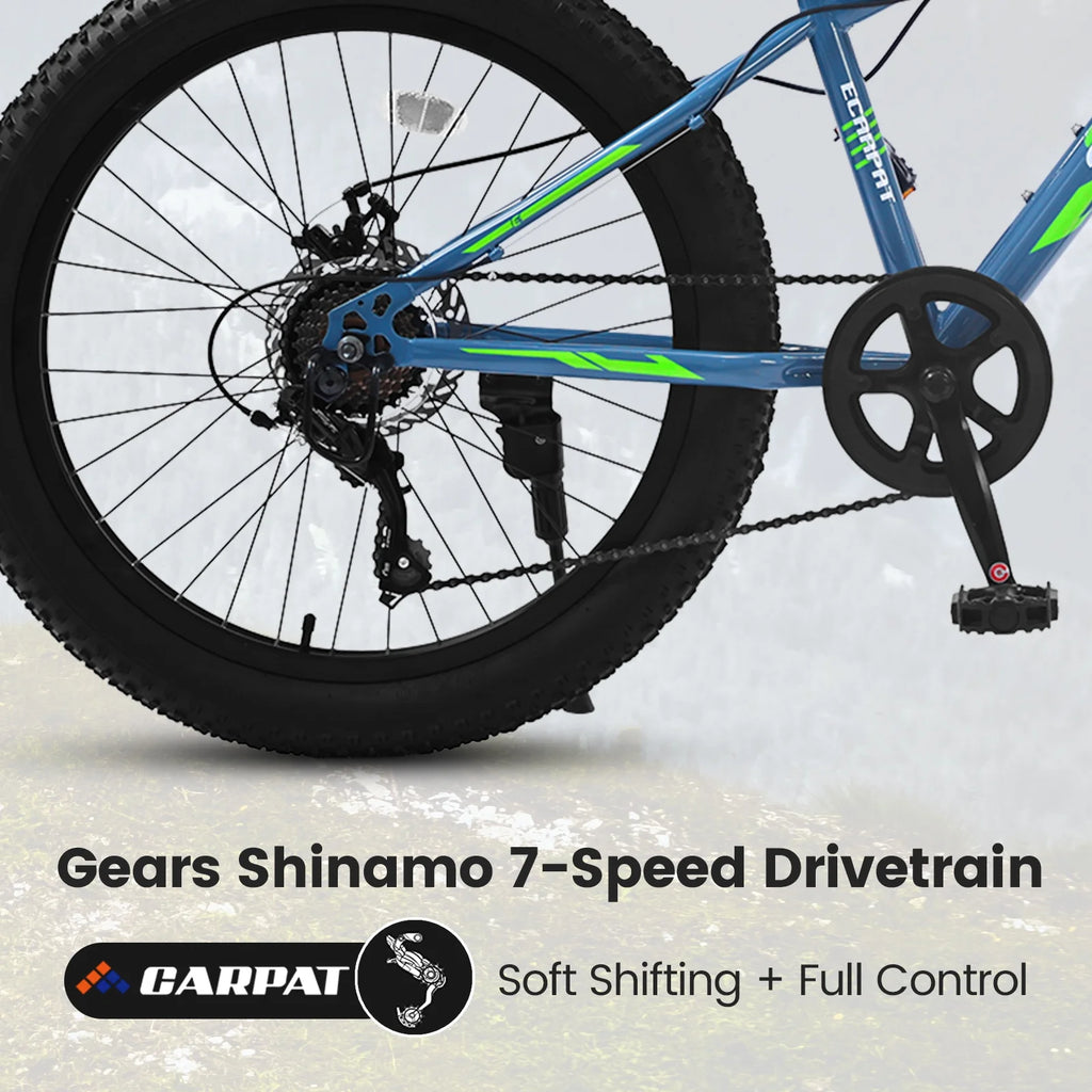 24 inch Mountain Bike with Fat Tires T201