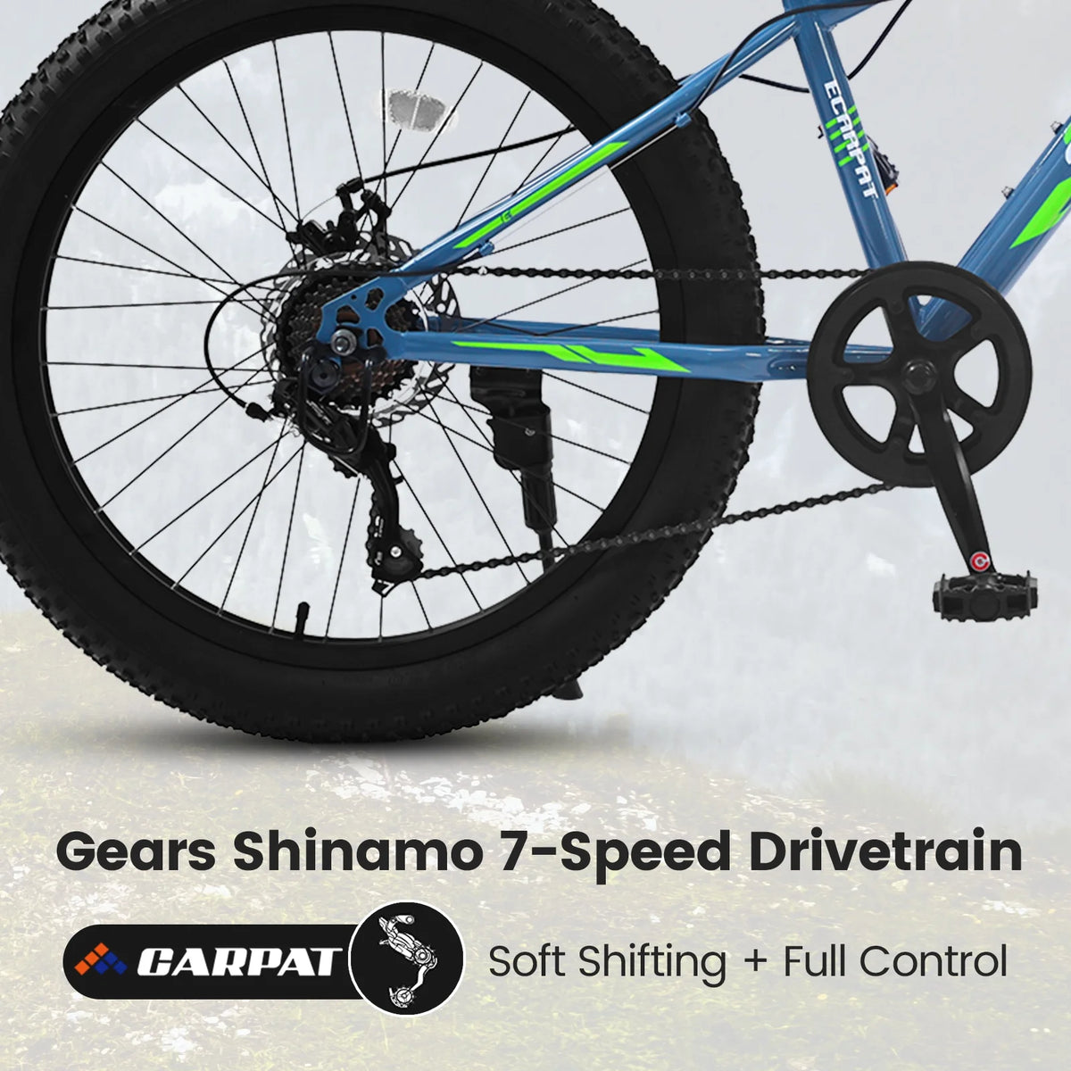 24 inch Mountain Bike with Fat Tires T201
