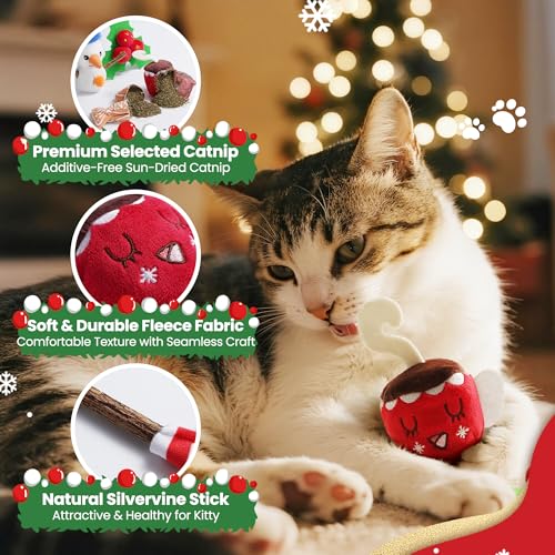5 PCS Catnip Cat Chew Toys with Silvervine Sticks F726