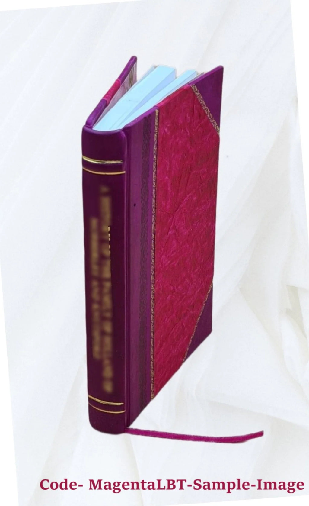 Temperance et intemperance 1856 Leather Bound P298331