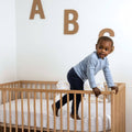 Crib Mattress M181