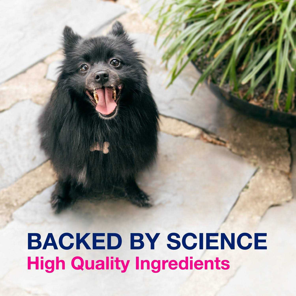 Multi-Strain Probiotics and Prebiotics for Dogs T65629