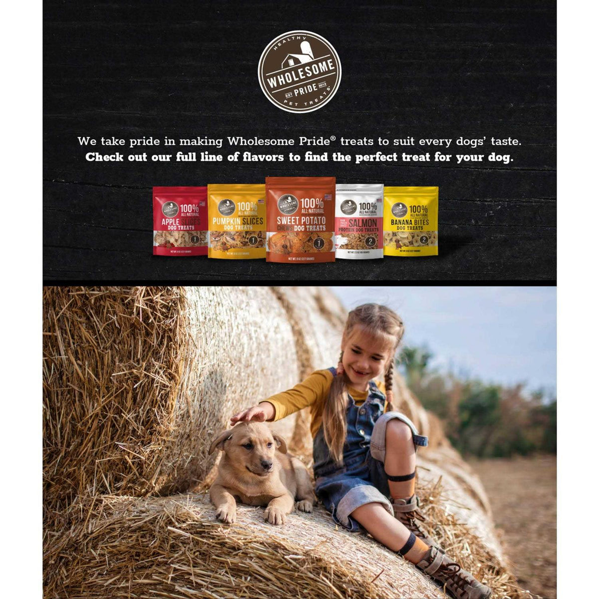 Apple Slices Dog Treats T131552