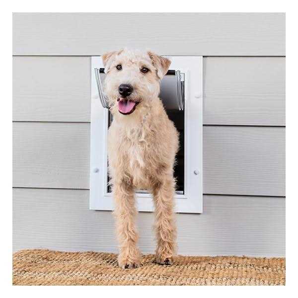 Wall Entry Pet Door G4862