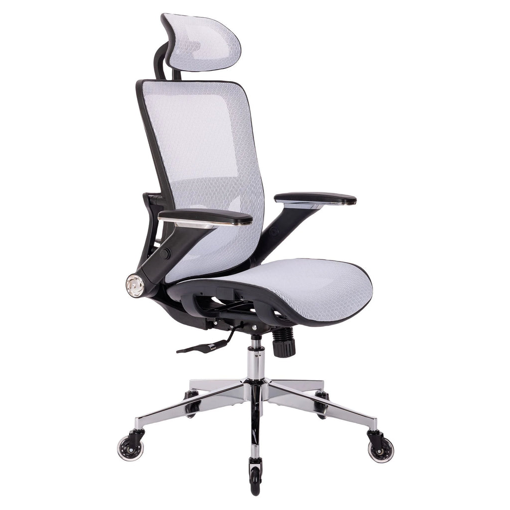 Adjustable Mesh Office Chair F1386